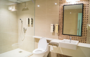 harilela_hospitality___transit_hotel_shower