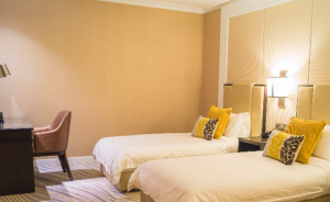 harilela_hospitality___transit_hotel_single